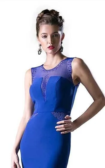 Cinderella Divine N101 Dress